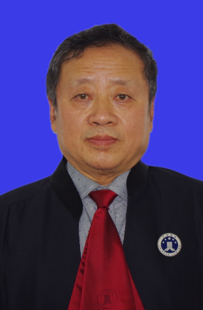 中沛律师团队精英律师